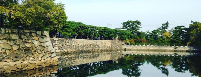 Tamamo Park is one of 100 "MUST-GO" castles of Japan 日本100名城.