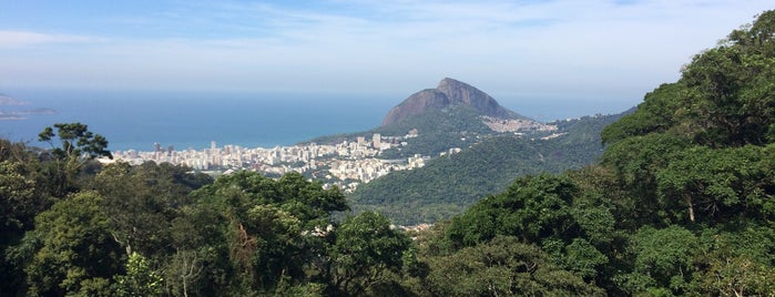 Confeitaria Colombo is one of Rio de Janeiro.