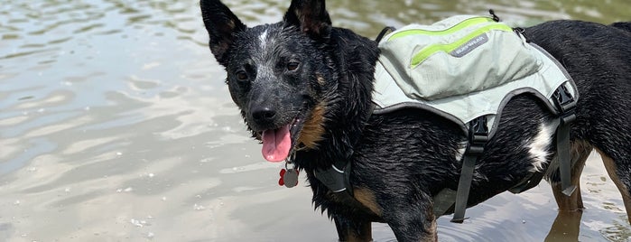 Big Darby Creek is one of errands.