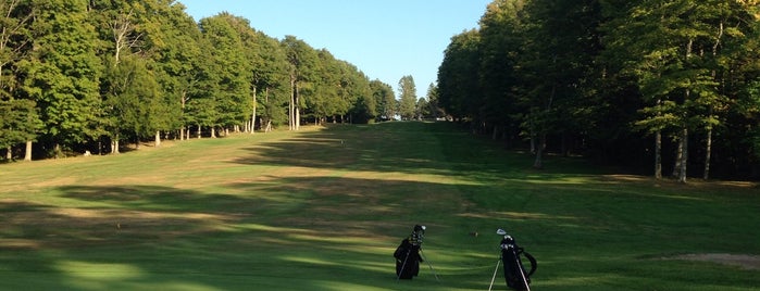 Stonebridge Golf Course is one of golf ny.