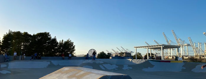 Alameda Skatepark is one of skate parks.