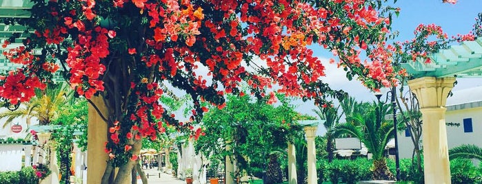 Port Yasmine Hammamet is one of honey 🌾'ın Beğendiği Mekanlar.