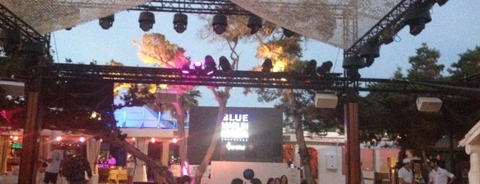 Blue Marlin Ibiza is one of We're going to Ibiza!.