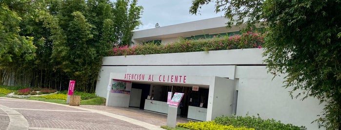 Jardines de México is one of Crucio en 님이 좋아한 장소.