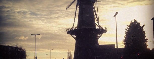 Molen Aeolus is one of Dutch Mills - South 2/2.