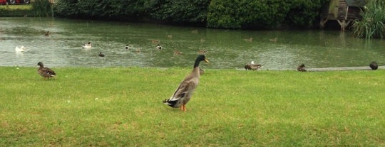 The Duck Pond is one of Tempat yang Disukai Carl.