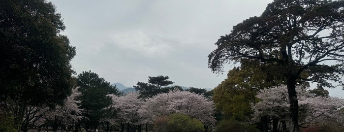 別府公園 is one of POI.
