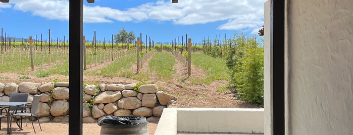Gainey Vineyards is one of Santa Barbara Wineries.