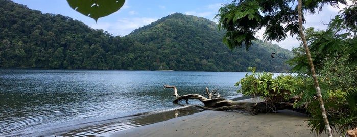 Parque Nacional Natural Utría is one of Liliana’s Liked Places.