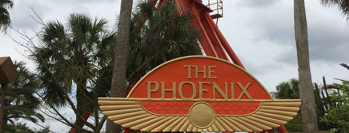 The Flight Of The Phoenix is one of Santi’s Liked Places.