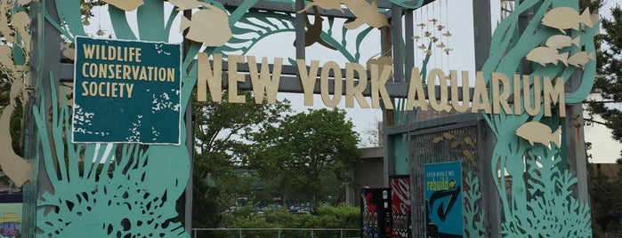 New York Aquarium is one of NYC ID.