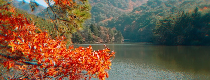 세조길 is one of Lugares favoritos de hyun jeong.