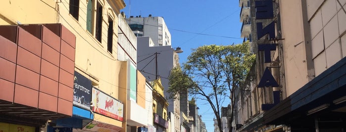 Peatonal San Martín is one of Lugares de Rosario.