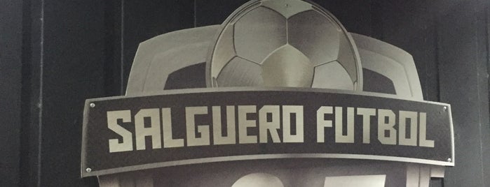 Salguero Fútbol is one of Favoritos.