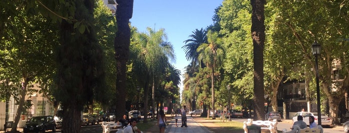 Boulevard Oroño is one of Parques, Paseos, Jardines - Parcs, Strolls Rosario.