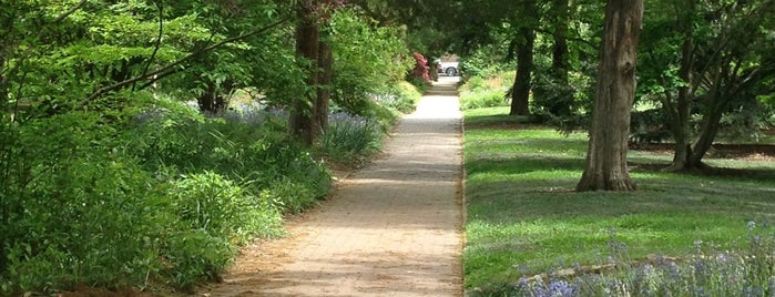 Coker Arboretum is one of Raleigh/Durham/Chapel Hill.