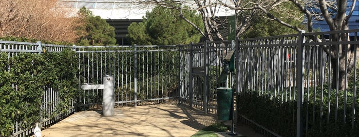 vdara Dog Park is one of Abbeyさんのお気に入りスポット.
