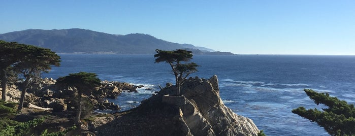 The Lone Cypress is one of To do: Big Sur / Monterey.