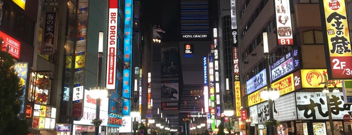 Godzilla Road is one of tokyo - JAP - tokyo area.