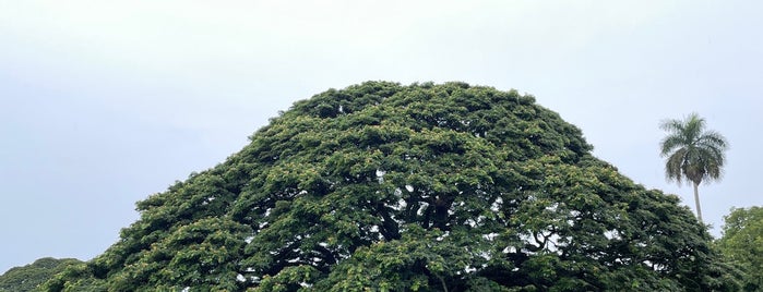 Moanalua Botanical Gardens is one of Posti salvati di Kimmie.