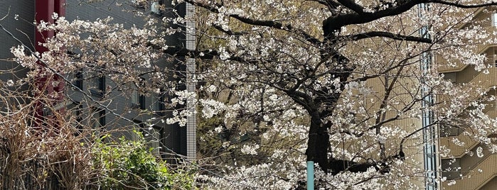 セイロン イン is one of Nakameguro.