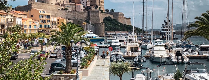 Port de Calvi is one of France be here with u Orchidée de mon coeur.