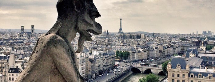 Tours de la Cathédrale Notre-Dame de Paris is one of 💭👣🚘✈.