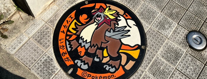 Pokémon manhole cover (Poké Lid) Entei is one of ポケモンマンホール.