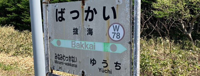 Bakkai Station is one of 駅.