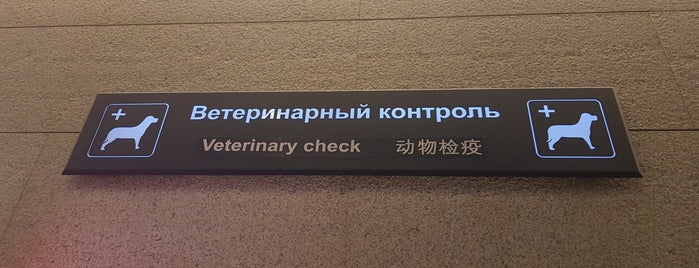 Veterinary control is one of Vnukovo airport locations.