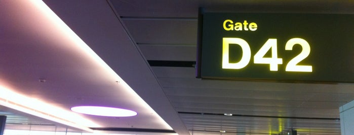 Gate D42 is one of SIN Airport Gates.