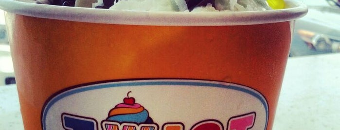 Twist Frozen Yogurt & Sweet Shop is one of Frozen Favorites.