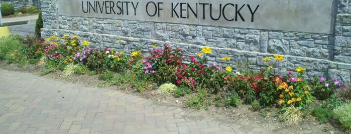 Universidad de Kentucky is one of NCAA Division I FBS Football Schools.