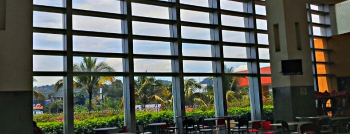 Food Court - Multiplaza is one of Javier G’s Liked Places.