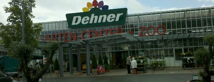 Dehner is one of Kiel.