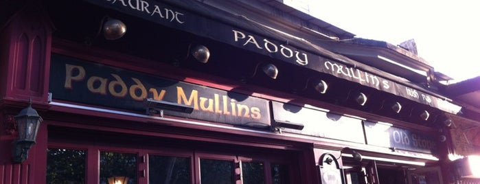 Paddy Mullins Irish Pub is one of Lugares favoritos de Emily.