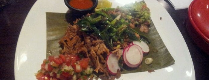 Jalapeno Mexican Grill is one of USF #4sqBucketList.