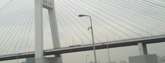 Nanpu Bridge is one of World List.