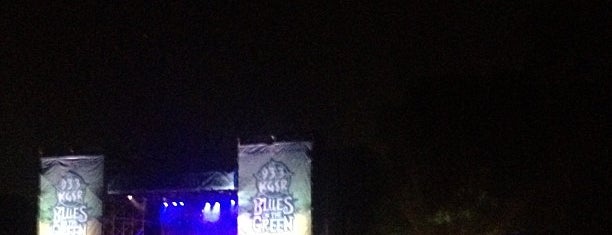 Blues On The Green At Zilker is one of Soul Food.