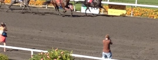 Hollywood Park Racetrack is one of Best Horse Tracks in America.