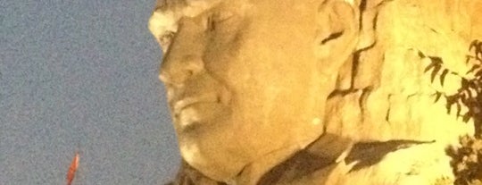 Atatürk Rölyefi is one of Lieux qui ont plu à Metin.