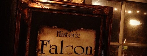 The Falcon House is one of Fido Does Palm Beach.