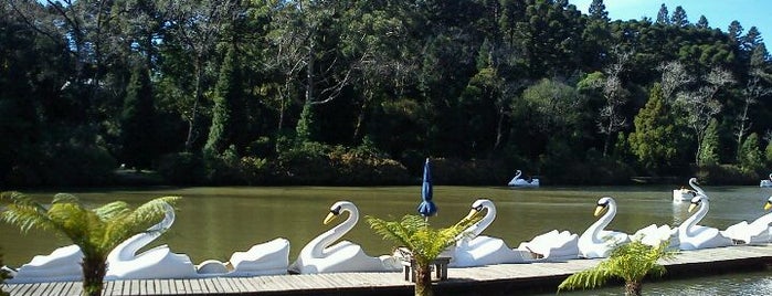 Parque do Lago Negro is one of Rio Grande do Sul ... My Check List!.