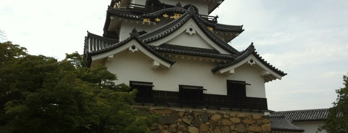 Hikone Castle is one of 日本100名城.