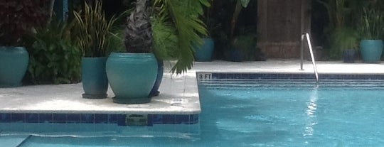 Pool @ Parrot Key Resort is one of Lugares favoritos de Davi.