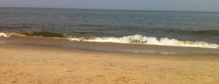 Poodle Beach is one of Delaware Fun.