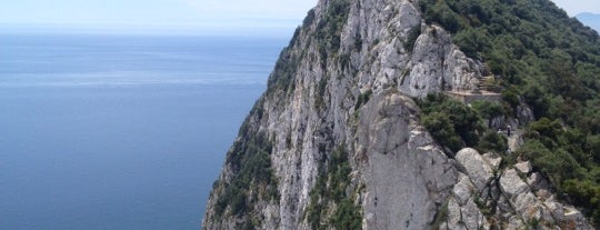 Gibraltar Nature Reserve is one of Where Europe & Africa meet.