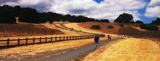 Stanford Dish Trail is one of San Francisco - Honeymoon Must sees.