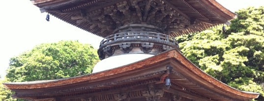 来迎院 is one of 多宝塔 / Two Storied Pagoda in Japan.
