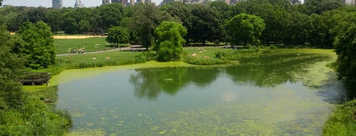 Central Park is one of 36 hours in... New York.